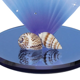 Glass Sea Turtle Figurine with Blue Coral | Ocean Decor | Sea Life Gift
