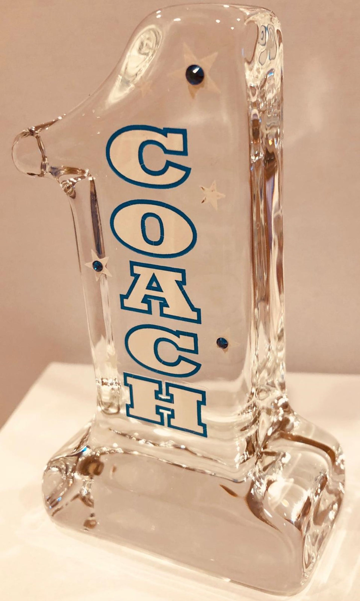Coach Gift Glass Pen Figurine Sports Coach Desk Organizer Coach Appreciation Gift