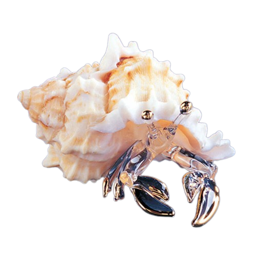 Handcrafted glass hermit crab hiding in a real shell with 22Kt gold accents