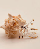 Hermit Crab Glass Figurine | Coastal Beach Home Decor with Real Shell