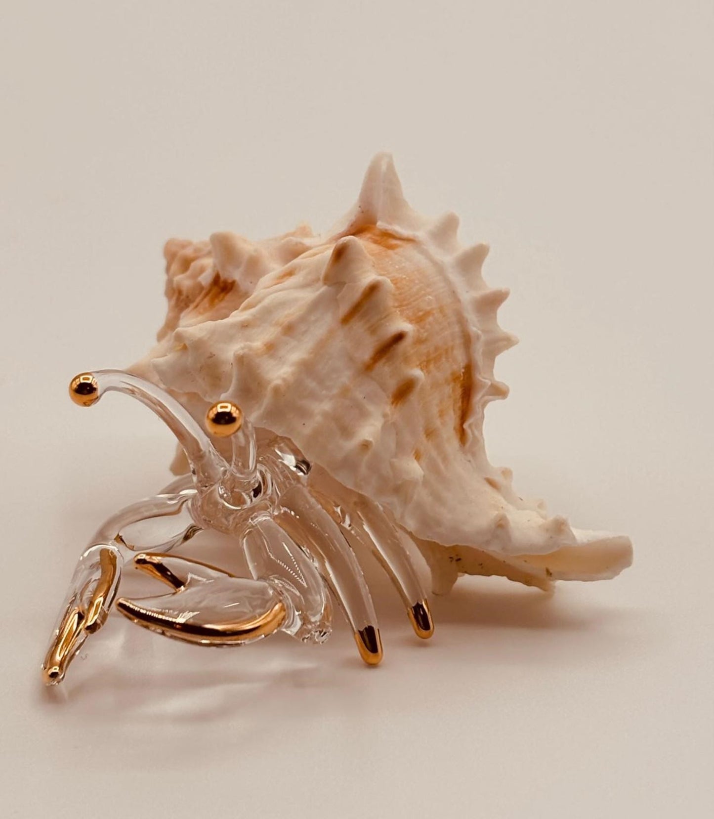 Hermit Crab Glass Figurine | Coastal Beach Home Decor with Real Shell