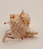 Hermit Crab Glass Figurine | Coastal Beach Home Decor with Real Shell