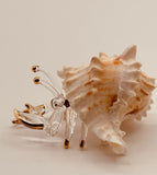 Hermit Crab Glass Figurine | Coastal Beach Home Decor with Real Shell