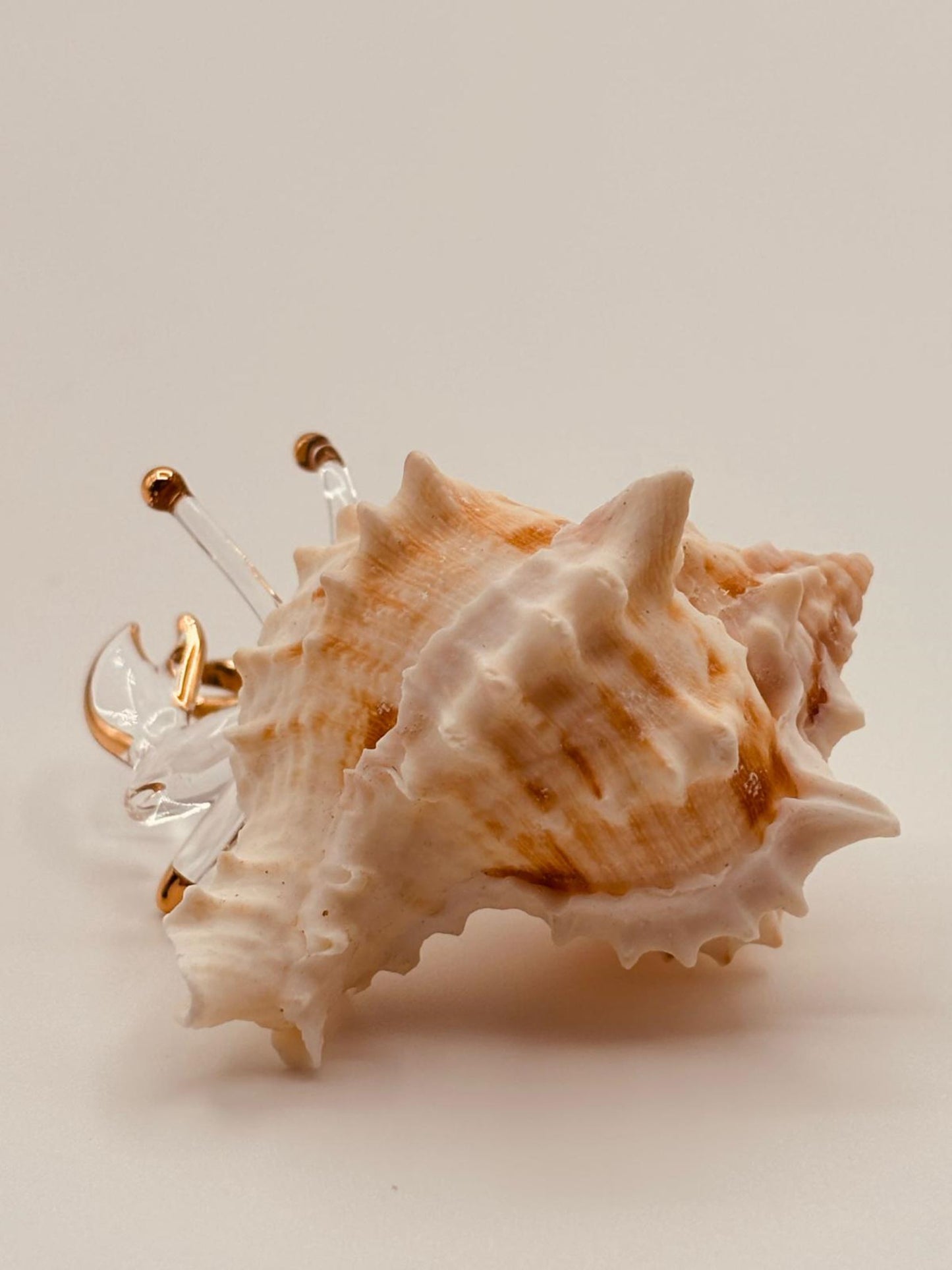 Hermit Crab Glass Figurine | Coastal Beach Home Decor with Real Shell