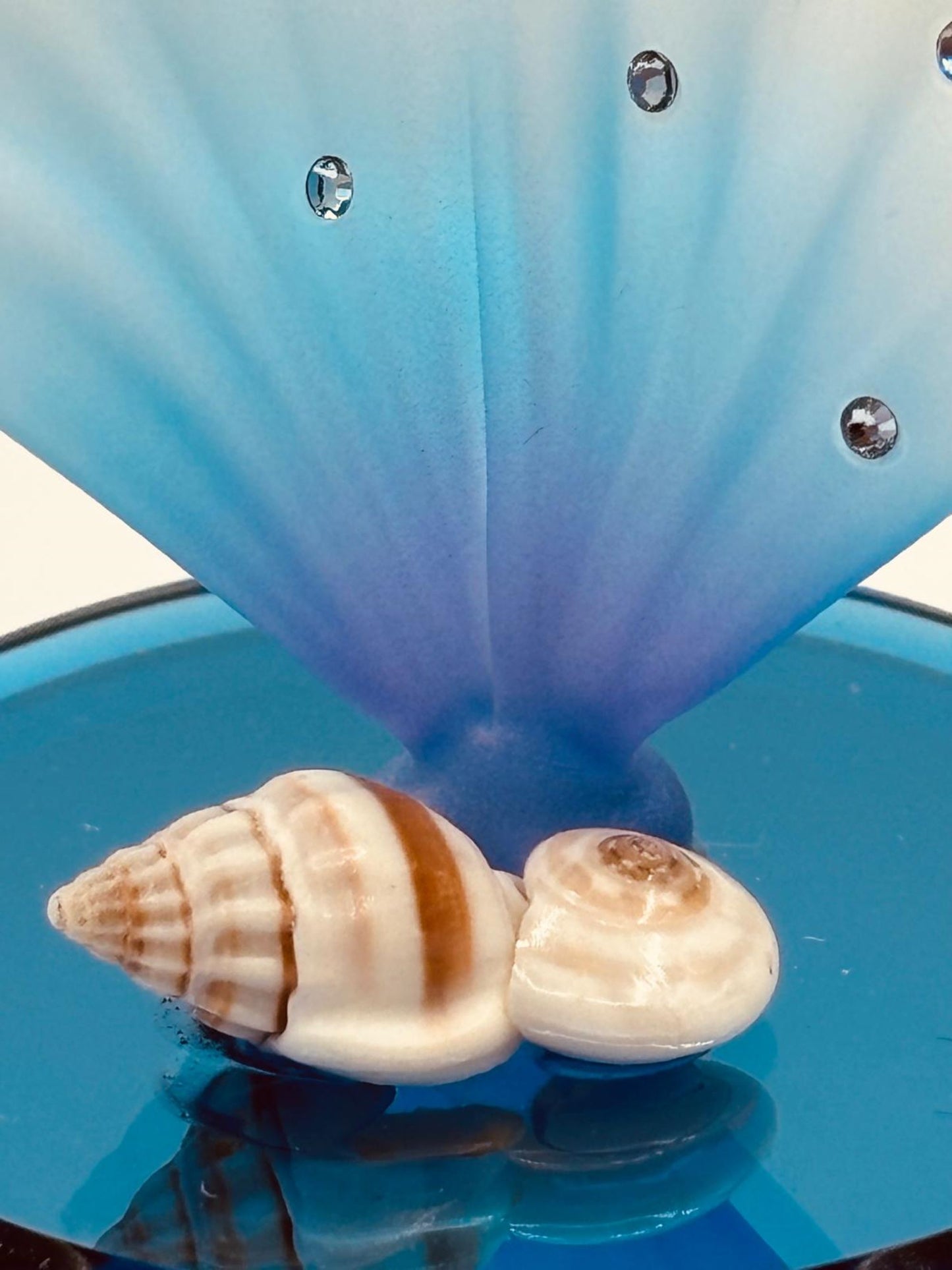 Sea Horse on Blue Coral Figurine | Coastal Ocean Display Décor
